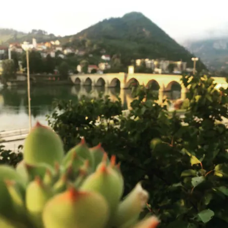 アパート Ive Andrica 3